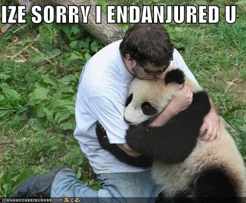 funny-pictures-human-apologizes-to-panda.jpg