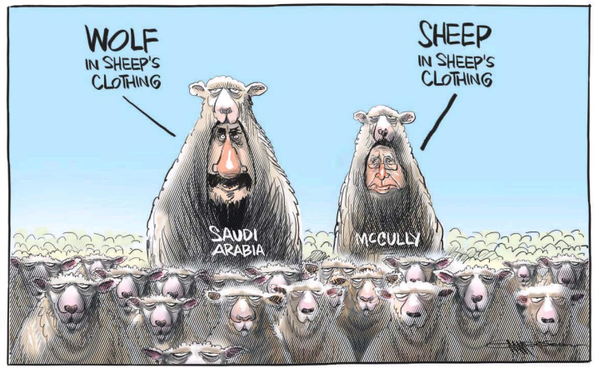 McCully sheep in wolfs clothing