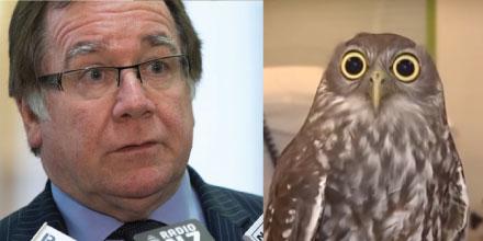 Murray McCully and owl