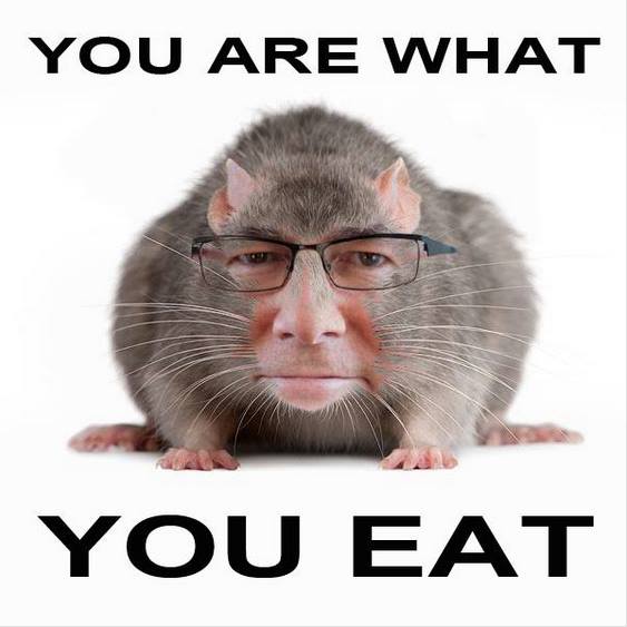 Tim Groser you are what you eat