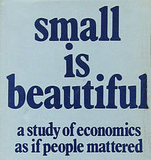 The Standard Book Club Small Is Beautiful Economics As If People Mattered The Standard