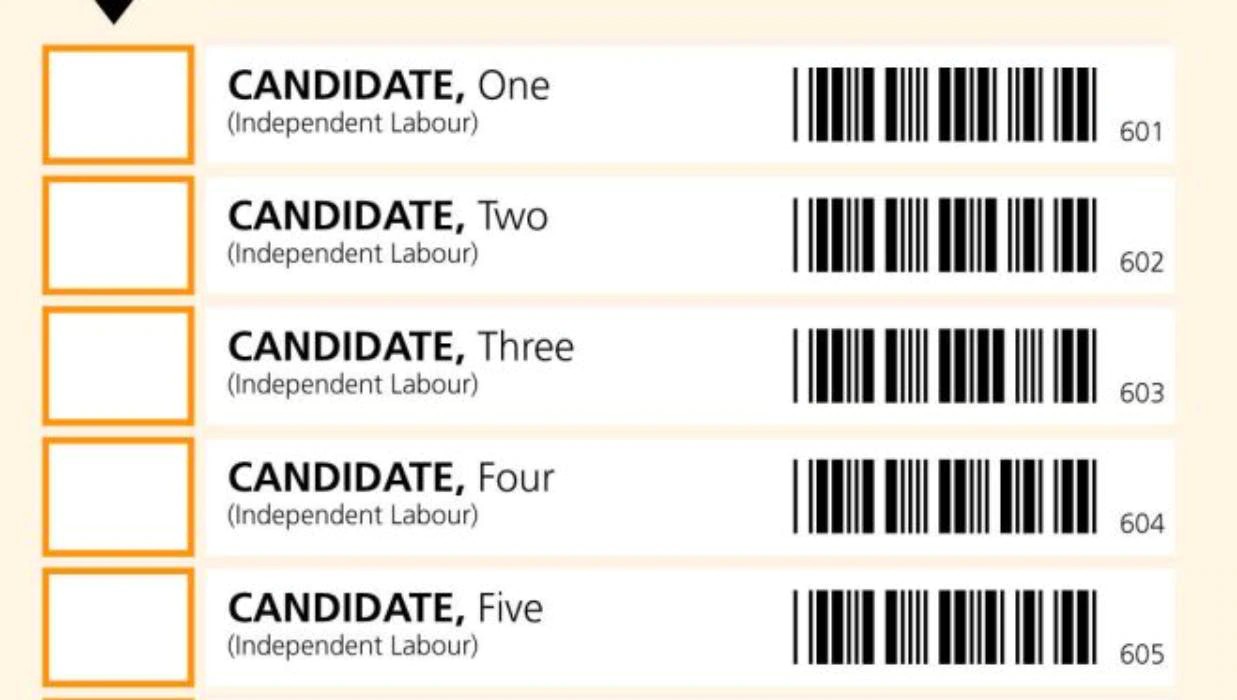 An example Single Transferable Vote ballot